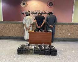 شؤون الحرمين تُجنِّدُ أكثر من ٧٠ فرقة عمل لتعقيم المسجد الحرام مكونة من ٧٠٠ عامل و ١١ روبوتًا