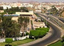 الغذاء والدواء ترد على مزاعم بوجود شوائب وإفرازات بلاستيكية في أكياس الشاي