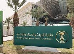 جامعة الإمام عبدالرحمن بن فيصل تشارك بالمؤتمر والمعرض الدولي للتعليم ٢٠٢٢
