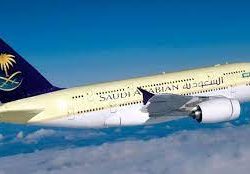 “البيئة” تناقش تنظيم آلية استيراد النحل من مصر