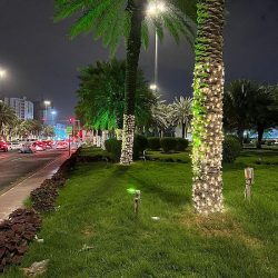 شرطة منطقة تبوك تُباشر حادثة تعرض امرأة للاعتداء بالضرب وتكسير زجاج مركبتها