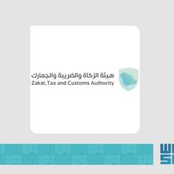 ألعاب نارية تلون سماء المملكة بألوان البهجة والفرح في عيد الفطر