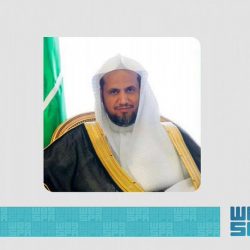 احتفالية «عيدنا في حينا» تنطلق بعدد من المواقع بمنطقة القصيم