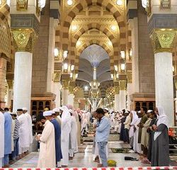 خادم الحرمين الشريفين يوجه بنقل التوأم السيامي اليمني “مودة ورحمة” إلى الرياض