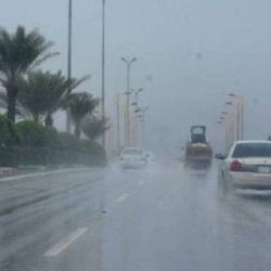 الموانئ السعودية بوابة التجارة والتنمية لقارات العالم