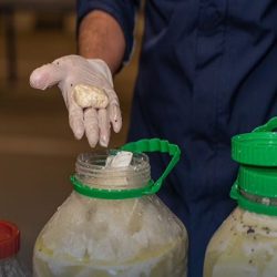 وفاة رئيس دولة الإمارات الشيخ خليفة بن زايد آل نهيان