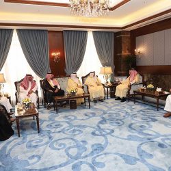 نيوم تطلق مبادرة “تنمية الغطاء النباتي” بزراعة 100 مليون شجرة