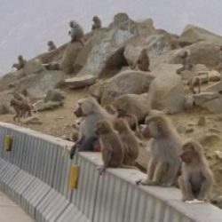 الأنشطة الطلابية لعام ١٤٤٣