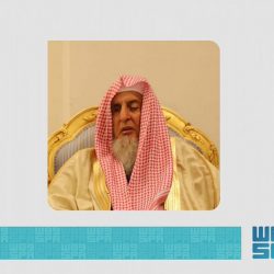 جامعة الإمام عبد الرحمن بن فيصل تستقبل وفدا من جامعة الملك خالد للاطلاع على مكتب إدارة البيانات