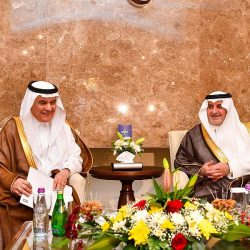 جازان ترفد الأسواق المحلية والعالمية بأكثر من 107 آلاف طن من الفواكه الاستوائية سنويًا