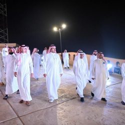 مانجو جازان.. مليون شجرة و65 ألف طن سنويًا تواكب الرؤية وتحقق المنافسة عالميًا.