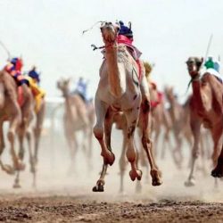 المركز الوطني للأرصاد : أمطار رعدية على منطقة عسير