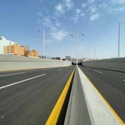 تعرف على خطوات تنفيذ خدمة الكفالة الإلكترونية عبر منصة ‎أبشر