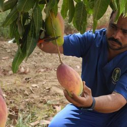  الهيئة العامة للعقار تضبط 2289 إعلاناً عقارياً مخالفا وترخص 31 منشأة وساطة عقارية