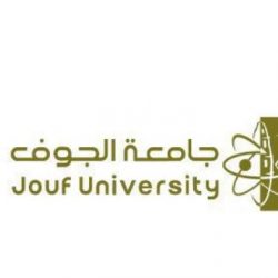 وصول التوأم السيامي اليمني “مودة ورحمة” إلى الرياض