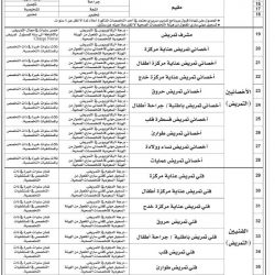 فعاليات ملتقى الإبداع الثامن تنطلق يوم 28 ماي بإمارة دبي