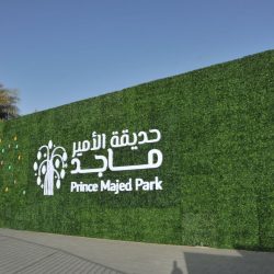 الأمن العام: السجن والغرامة والمنع من الاستقدام لصاحب العمل من الأفراد الذي يمكن عمالته من العمل لدى الغير أو لحسابهم الخاص