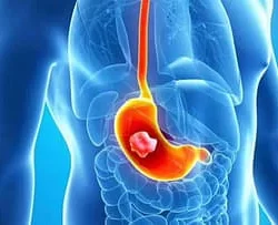 معرض “عمارة المسجد النبوي” رافد مهم لإثراء تجربة الزائر عبر مقتنيات ثمينة وتقنيات حديثة