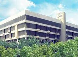 ورشة عمل عن دور الكشافة في تحقيق أهداف التنمية المستدامة