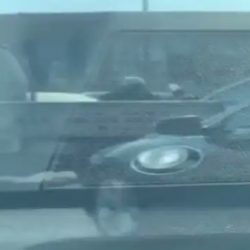 الرئيس التنفيذي للصندوق السعودي للتنمية يستقبل سفيرالسودان لدى المملكة