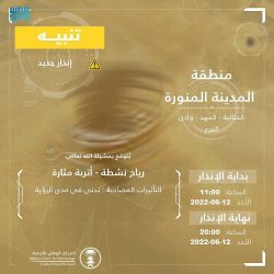 الصحف السعودية