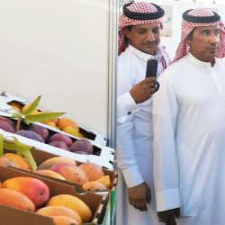 المملكة تؤكد أنها قدمت للأشخاص ذوي الإعاقة وأسرهم خلال جائحة كورونا خدمات تأهيلية دون انقطاع بشتى الوسائل المالية والتقنية والاجتماعية