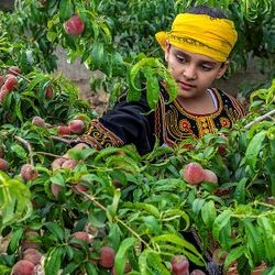 مركز الملك سلمان للإغاثة يدشن الحملة الطبية التطوعية لمكافحة العمى والأمراض المسببة له في النيجر