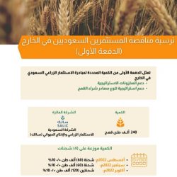 “النقل” تعلن السماح بإصدار تصاريح إبحار اليخوت