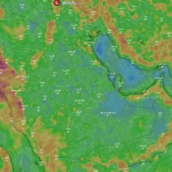 أمانة تبوك تشارك في اليوم العالمي للبيئة “لا نملك سوى أرض واحدة”