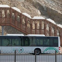 حديقة “لوكالاند” في جدة جنغل تتيح للأطفال اللعب والتعايش مع الكلاب المدرّبة