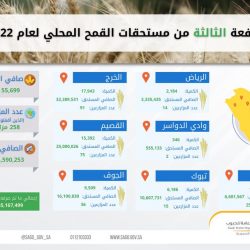 وزارة النقل والخدمات اللوجستية تستكمل المرحلة الأولى من مشروع استبدال مصابيح الإنارة بمصابيح LED