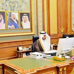 سمو أمير جازان يتسلم تقرير المرحلة الثانية لتجربة زراعة العود والصندل بالمنطقة