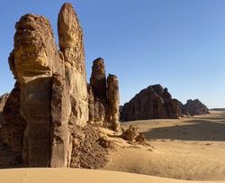 #عاجل   هبوط #الأهلي إلى دوري الدرجة الأولى.