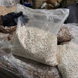 أمانة نجران تواصل أعمالها الميدانية لمعالجة عناصر التشوّه البصري وتحسين جودة الحياة بالمنطقة