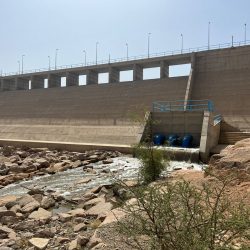 شراكة مجتمعة بين فريق وطن التطوعي ووحدة الحماية من العنف الأسري بالأحساء