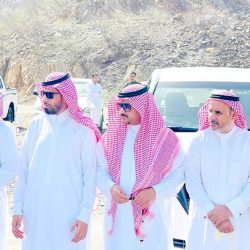 القوات الخاصة للأمن والحماية تضبط مخالفًا لنظام البيئة لتخزينه حطبًا محليًا في منطقة المدينة المنورة