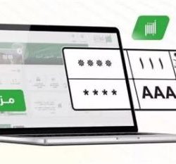 الصعود الخامس للوحدة لدوري المحترفين