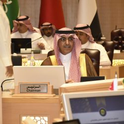 القوات الخاصة للأمن والحماية تضبط مخالفين لنظام البيئة لنقلهما الرمال وتجريف التربة دون ترخيص في منطقة تبوك