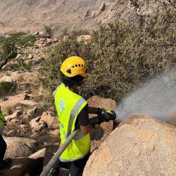 بحث التكامل بين التعليم العام والجامعي لجعل عسير الوجهة الأولى للتعليم