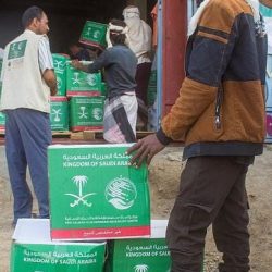 الهيئة العامة للإحصاء: انتهاء مهلة العد الذاتي ، وزيارة الباحث هي الوسيلة الرئيسية لاستكمال التعداد