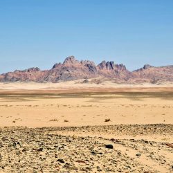 مركز الالتزام البيئي يقيم ورشة بعنوان “دور الإعلام في إدارة الحوادث البيئية” في ينبع