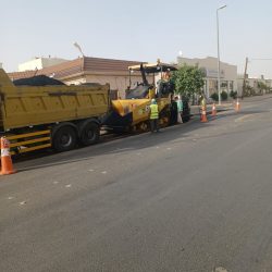 الصحف السعودية