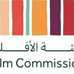 بالفيديو: الجهات الأمنية تلقي القبض على شخص وامرأتين امتهنوا التسول.. والكشف عن جنسياتهم