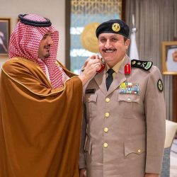 انطلاق فعاليات مهرجان الفرشة الثاني للمانجو بسراة عبيدة