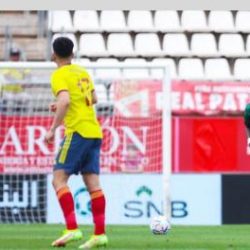 وعكة صحية تغيّب رينارد عن وديّة كولومبيا