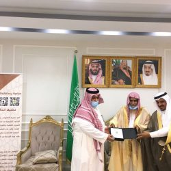 بالصور: أبشر تستعرض أبرز 6 لوحات مميزة بمزاد اللوحات الإلكترونية.. والكشف عن أسعارها