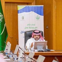 الأمن العام يستعرض بعض الجرائم التي تم القبض على مرتكبيها -فيديو