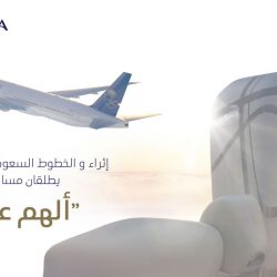 ” وادي لعصان ” في ثوبه الجديد.. بعد أن نقلته أمانة عسير من ” وادي مهجور ” إلى حدائق للتوت