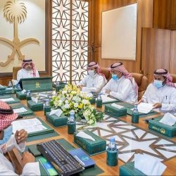 غدًا.. فرع وزارة “البيئة” في العلا ينظم لقاء “القيمة المضافة لمنتجات الحمضيات” لمزارعي المحافظة