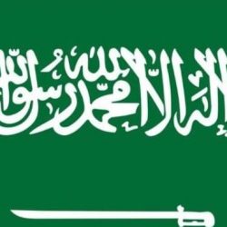 #فديو | طريق ميسّر وعمل مسهّل.